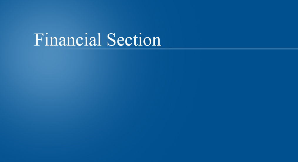 financial section.jpg